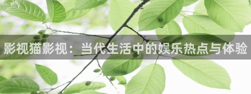 轨道影院设备：影视猫影视：当代生活中的娱乐热点与体验