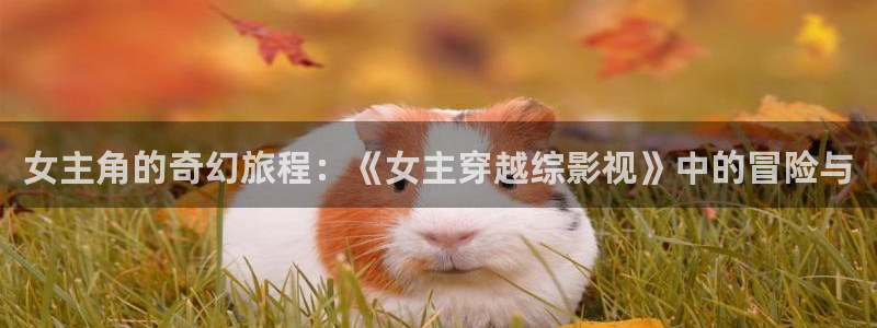 开轨道影院要多少钱：女主角的奇幻旅程：《女主穿越综影视》中的冒险与