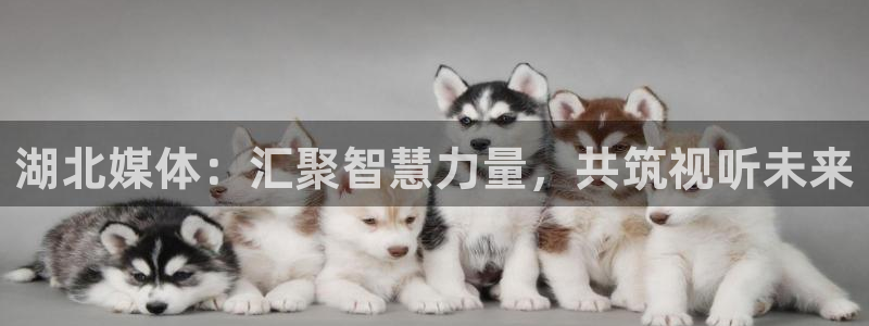 轨道影院厂家电话：湖北媒体：汇聚智慧力量，共筑视听未来