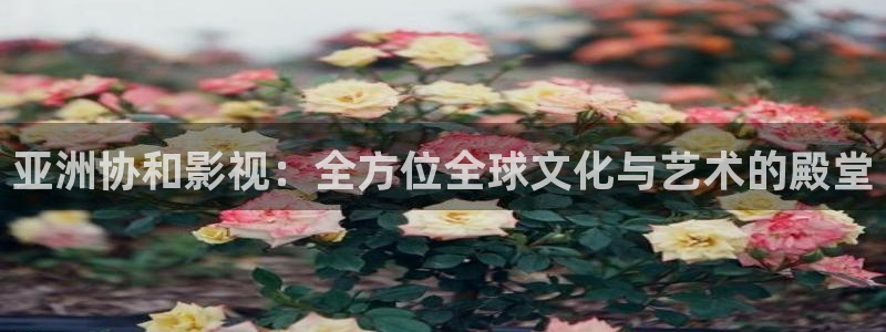 立体轨道影院：亚洲协和影视：全方位全球文化与艺术的殿堂