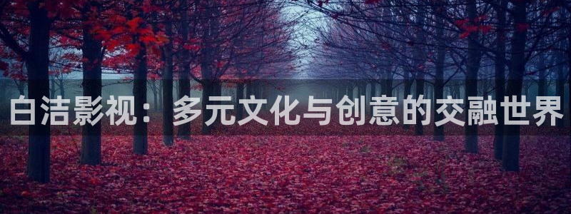轨道影院免费播放电视剧入口：白洁影视：多元文化与创意的交融世界