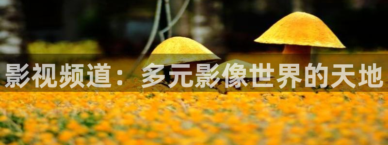 轨道影院飞行影院：影视频道：多元影像世界的天地