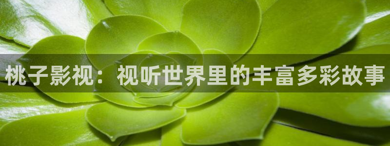 巅峰文化轨道影院：桃子影视：视听世界里的丰富多彩故事