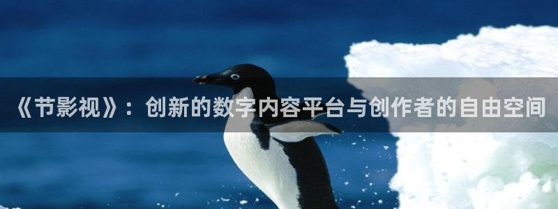 阿哩乐轨道影院怎么样：《节影视》：创新的数字内容平台与创作者的自由空间